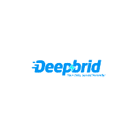 Deepbrid Group Buy Starting just $4 per month - Toolsurf