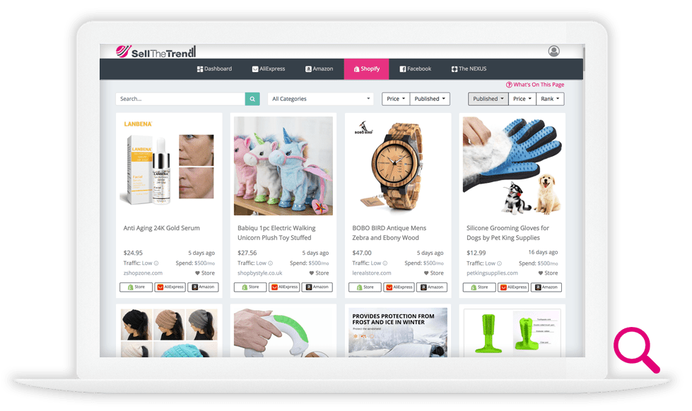 Best Dropshipping Tool Sell The Trend Review