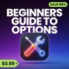 Beginners Guide To Options Product