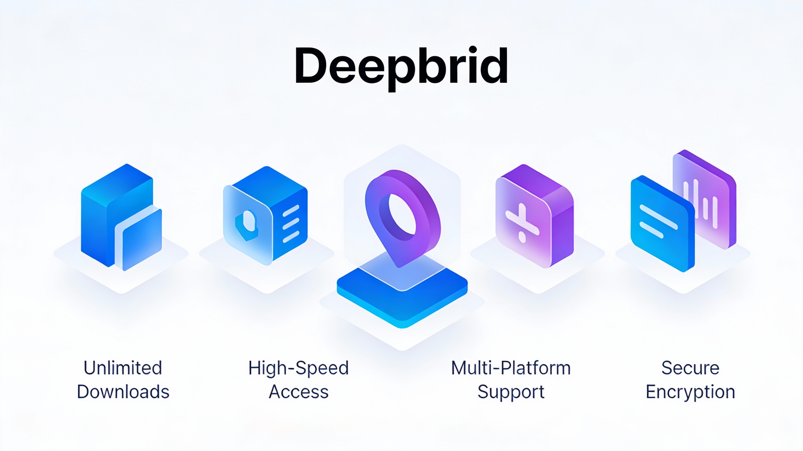 Deepbrid Features - infographic style with icons