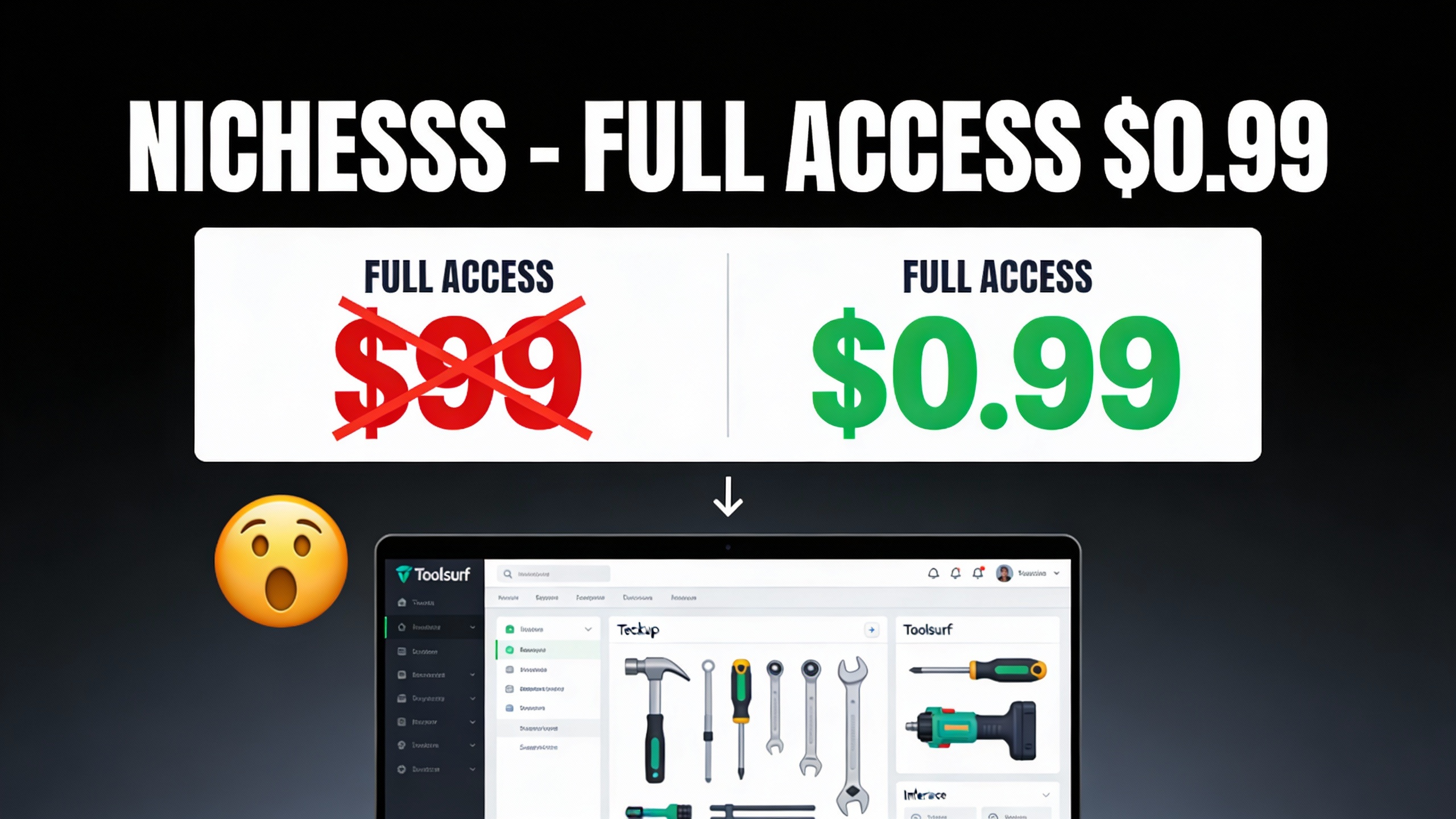 YouTube thumbnail marketing style. Bold white text "NICHESSS - FULL ACCESS $0.99".
Split scr
