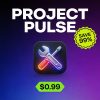 Project Pulse Product 1