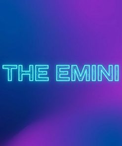 The Emini S&P Day Trading Course Group Buy