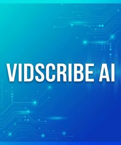 Vidscribe Ai Product 2